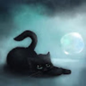 Meet your Posher, Jaimie